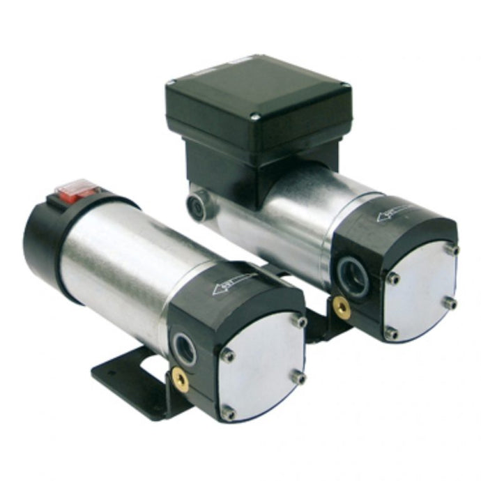 PS309010 F0030901A 12V OIL VANE PUMP